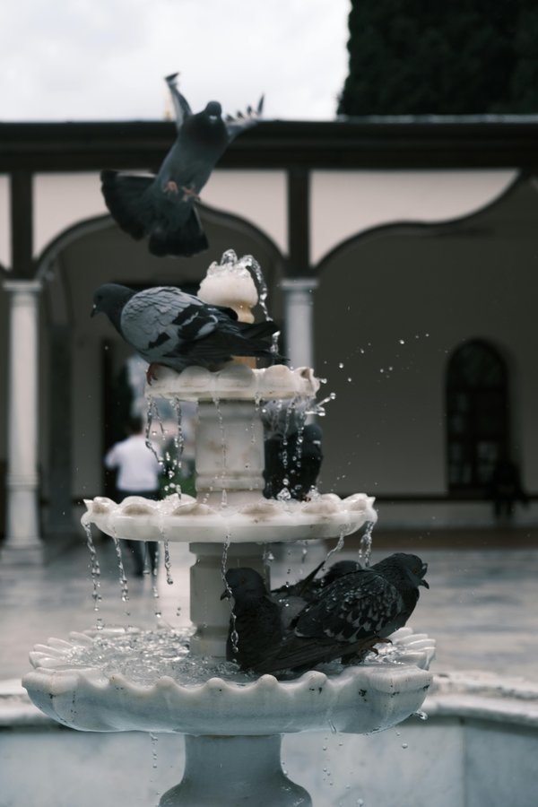 Ceramic Bird Bath (Classic White)