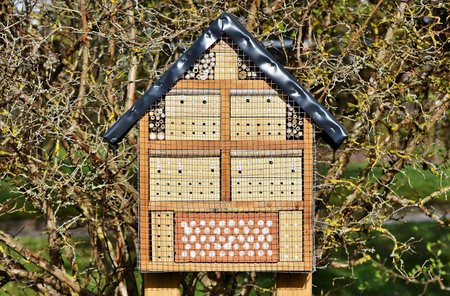 Native Bee Hotel