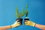 Gardening Gloves (Rubber Grip)