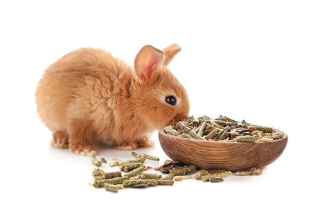 Fresh Veggie Mix for Rabbits - Dehydrated